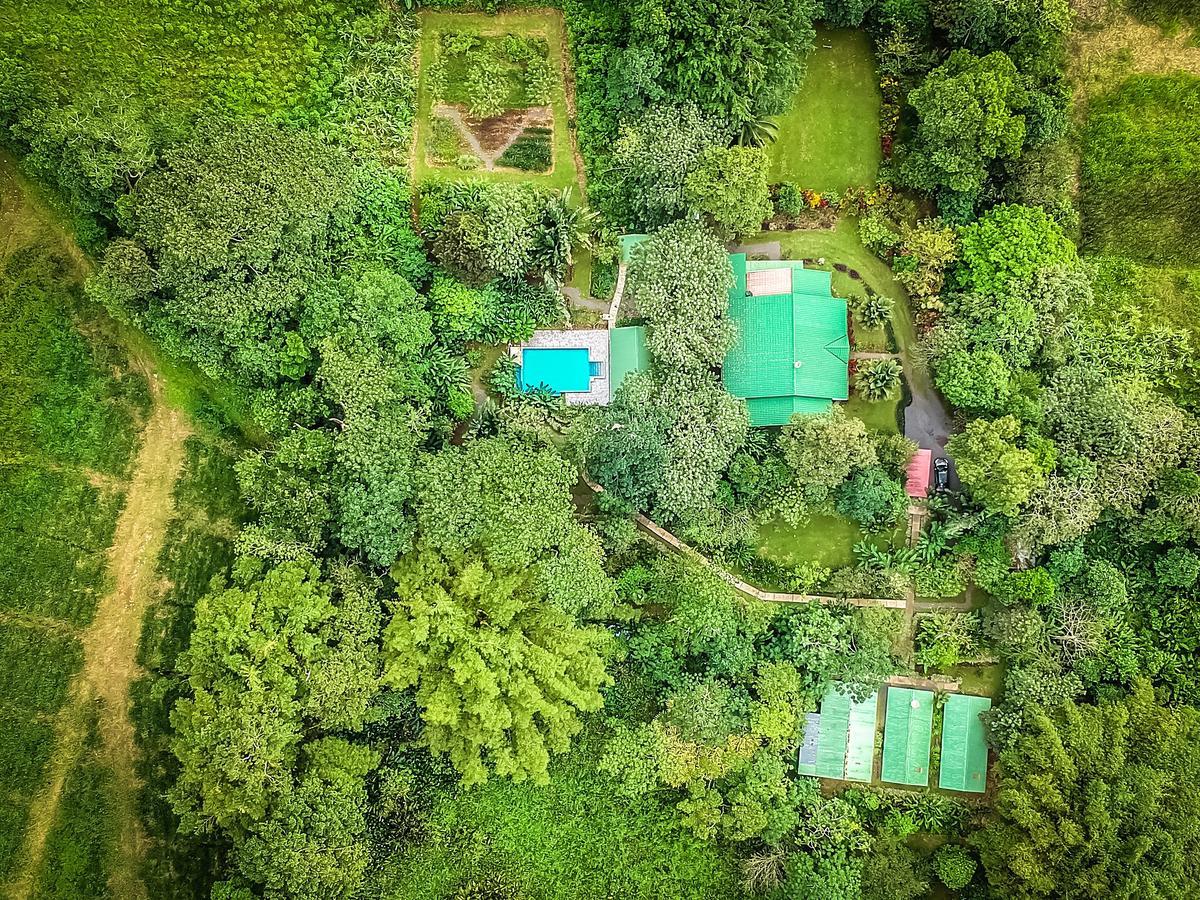 Tropical Paradise Bungalows Pital  Esterno foto
